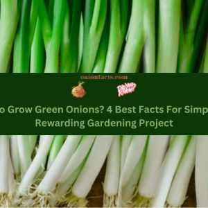 How To Grow Green Onions? 4 Best Facts For Simple And Rewarding Gardening Project